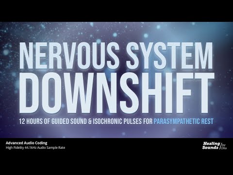 Nervous System Downshift 🌫️ | 12 HOURS + BLACK SCREEN | Isochronic Pink & Brown Noise for Deep Calm