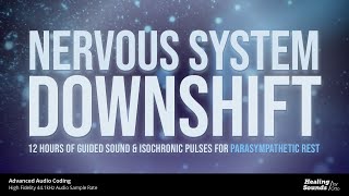 Nervous System Downshift 🌫️ | 12 HOURS + BLACK SCREEN | Isochronic Pink & Brown Noise for Deep Calm