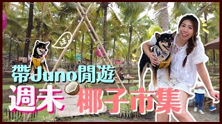 【清邁生活VLOG】🥥週未椰子市集 Juno與我🦊 閒逛泰國地道市場一天✨ 不知名美食亂吃一通🍡  KAD MA PRAW Coconut Market [CC SUB / 中字]