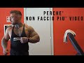 ECCO PERCHE' SONO SPARITO