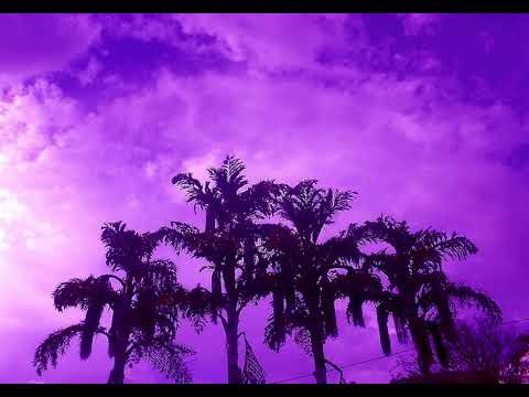 DORFTEKK - Kapitän zur See