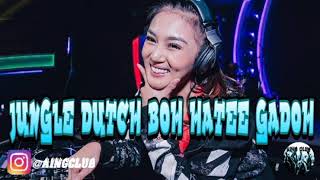 Download lagu JUNGLE DUTCH || BEST OF || BOH HATEE GADOEH mp3