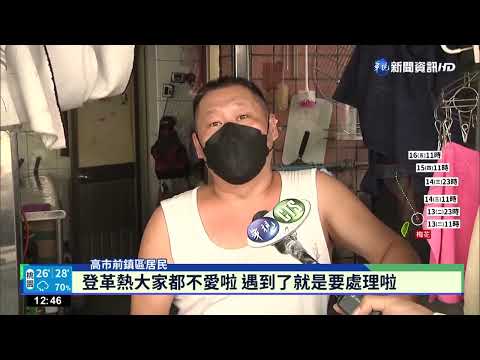 高雄登革熱累計9確診 研判前鎮區群聚感染