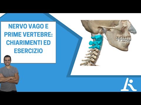 Intervento chirurgico per rimuovere lernia vertebrale del rachide cervicale Qualsiasi esercizio per il mal di schiena