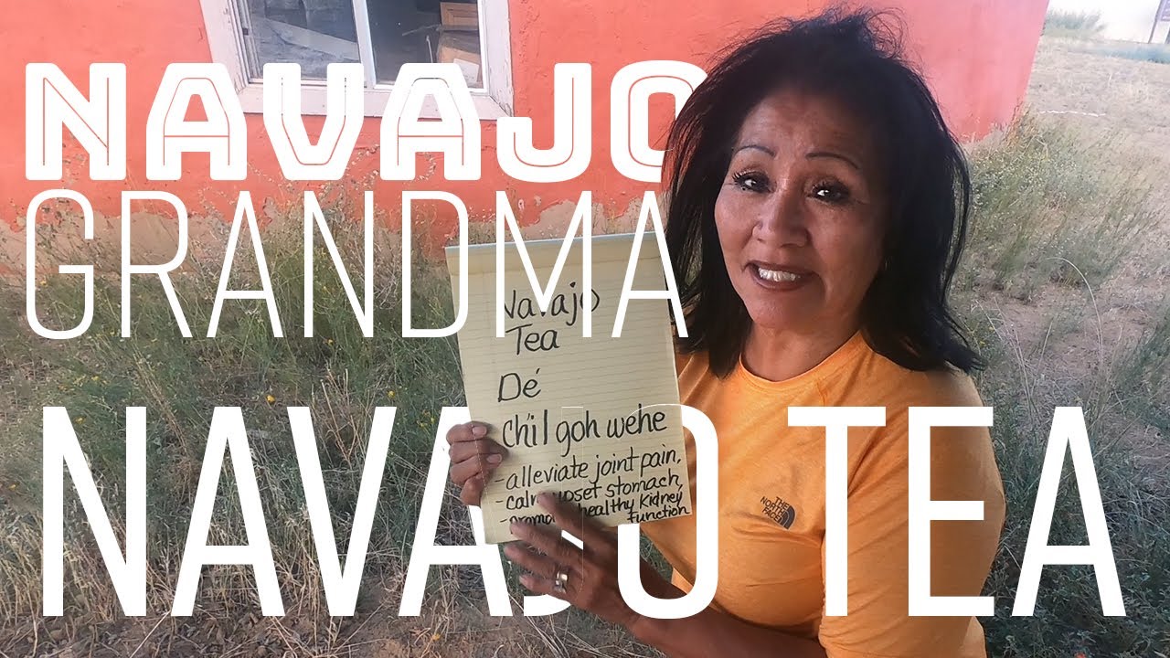 Navajo Tea Identification and Preparation with Navajo Grandma. Episode 7