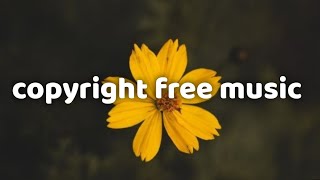 Copyright Free Music -Lolo Popo – Mona Wonderlick (No Copyright Music)