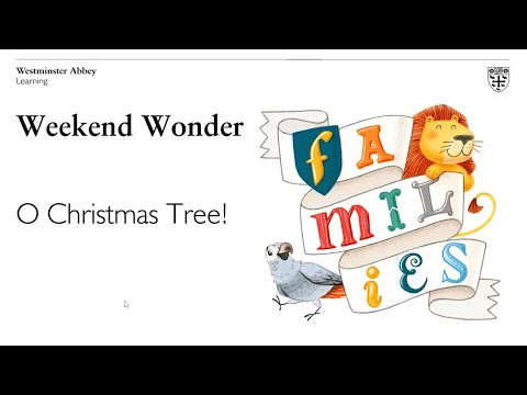 Weekend Wonders: O Christmas Tree!