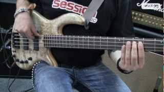Video thumbnail for ELRICK BASS GUITARS Gold Series e-volution 4-String Bolt-On Burled Myrtle by session