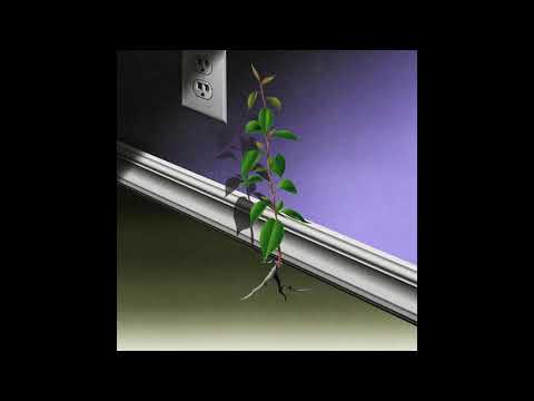 Wavy, Hunnid G - 0001 (Audio)