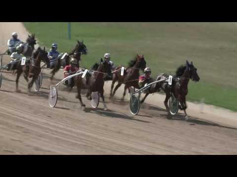 2017.07.22. 4. futam - ÜGYVIVŐ DÍJ