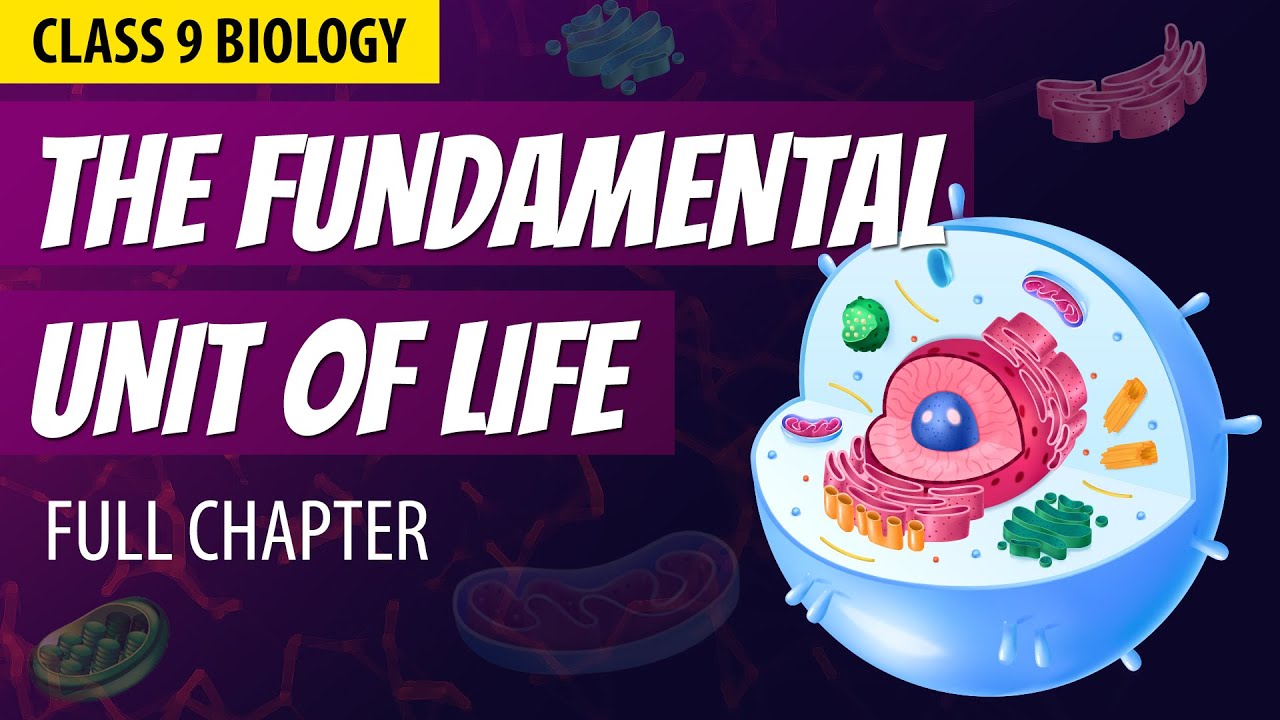 THE FUNDAMENTAL UNIT OF LIFE in 1 Shot | FULL Chapter Animation | Class 9th Biology | NCERT Science