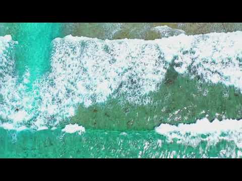 O Vazan cover by Ahmed Sammah