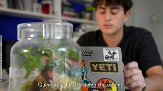Viva International Public School Video