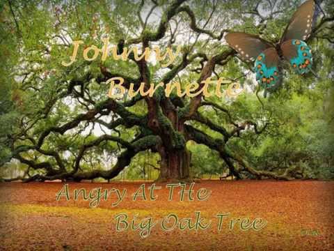 Johnny Burnette - Angry At The Big Oak Tree