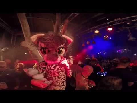 Bushwacka! at Zoo Project Ibiza May 2019
