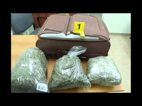 “Hijet e natës” zbulojnë drogë, 5 të arrestuar