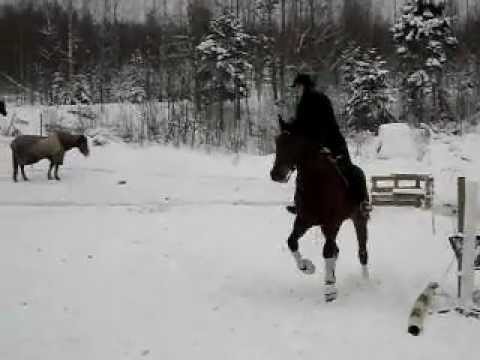 Gunilla provrider Odi