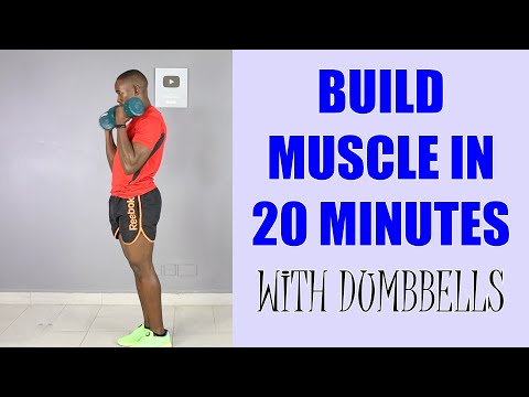 30 Minute Dumbbell Strength Training for Fat Loss Full Body Workout  250 Calories 