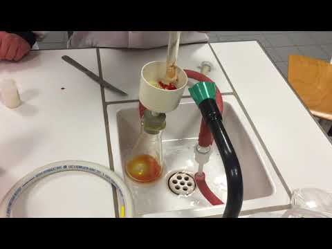 experience capsaicine