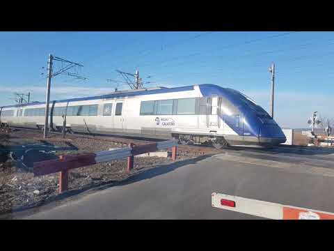 Trenul Regio  Calatori