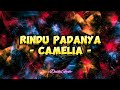 Camelia Rindu Padanya Lirik Lagu