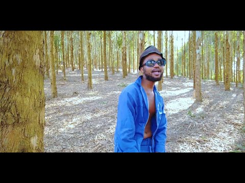 Artii feat Tibza & Mthura   Ibhetshu(music video)