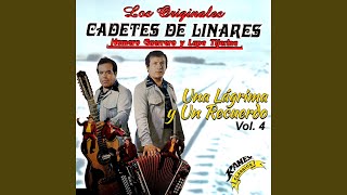 Tu Vida No Me Importa