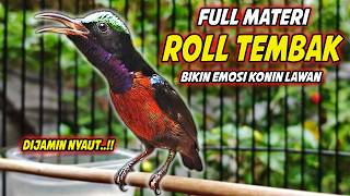 Download lagu KOLIBRI NINJA GACOR FULL MATERI ROLL TEMBAK MEWAH !! PANCINGAN KONIN BAHAN AGAR CEPAT RAJIN BUNYI mp3