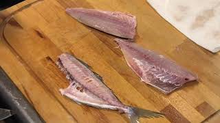 DIYで釣り人が捌きます。マアジの捌き方