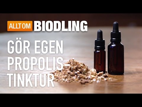 Tillverka propolistinktur, propolisextrakt, propolislösning - Propolis