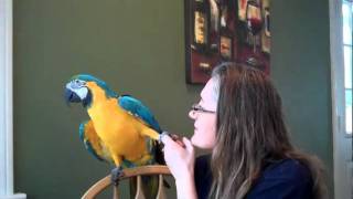 Darwin and I dancing in the morning