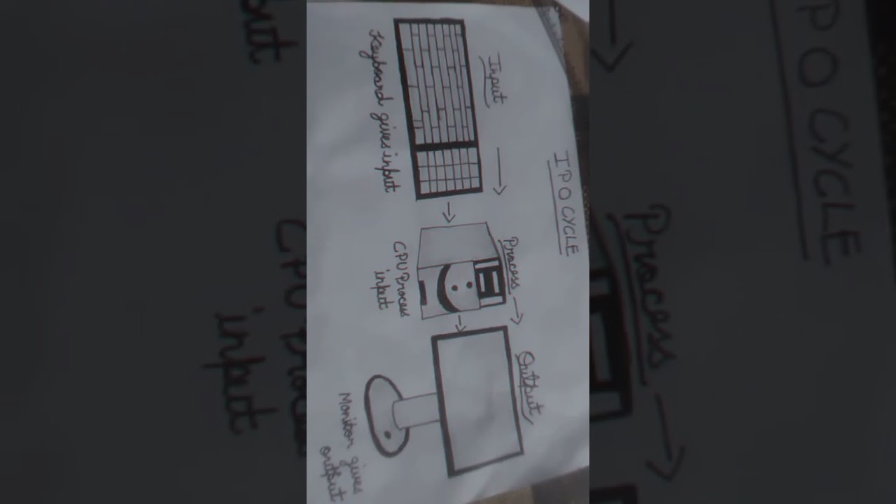 IPO cycle /input/process/output/drawing. 🖌️🥰