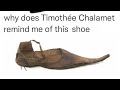 R Rareinsults Timothée Shoe Lamet