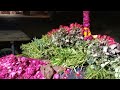 Maar Sutiya Judai Teri Th سنگر زمان خانaan