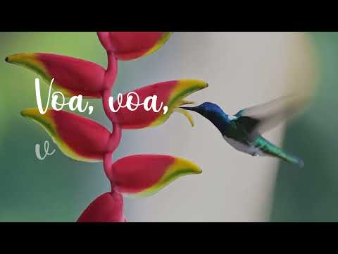 Não consigo viver sem Teu Amor ♫ (Lyric Video)