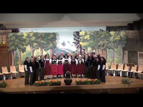 Jodlerabend 2023 - s'Plange