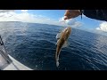 GoPro HERO6 Fishing For Flatheads At Jervis Bay Huskisson POV Fishing 1
