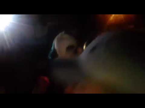 ACERTIJO vs TEMPLO-FINAL Shakur