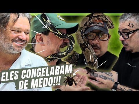 CARIOCA AND BOLA FACE THEIR BIGGEST PHOBIAS IN THE ANIMAL HOUSE! 🐍🕷️