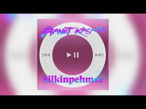Äänet Käskee & Silkinpehmee - 2GB iPod [Audio]