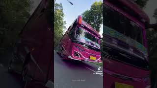 Download lagu Bus Indonesia PINK TOMBOY alias Ratu Jawa dengan klakson 18 nada #musik #indonesia #partybus #memuaskan mp3