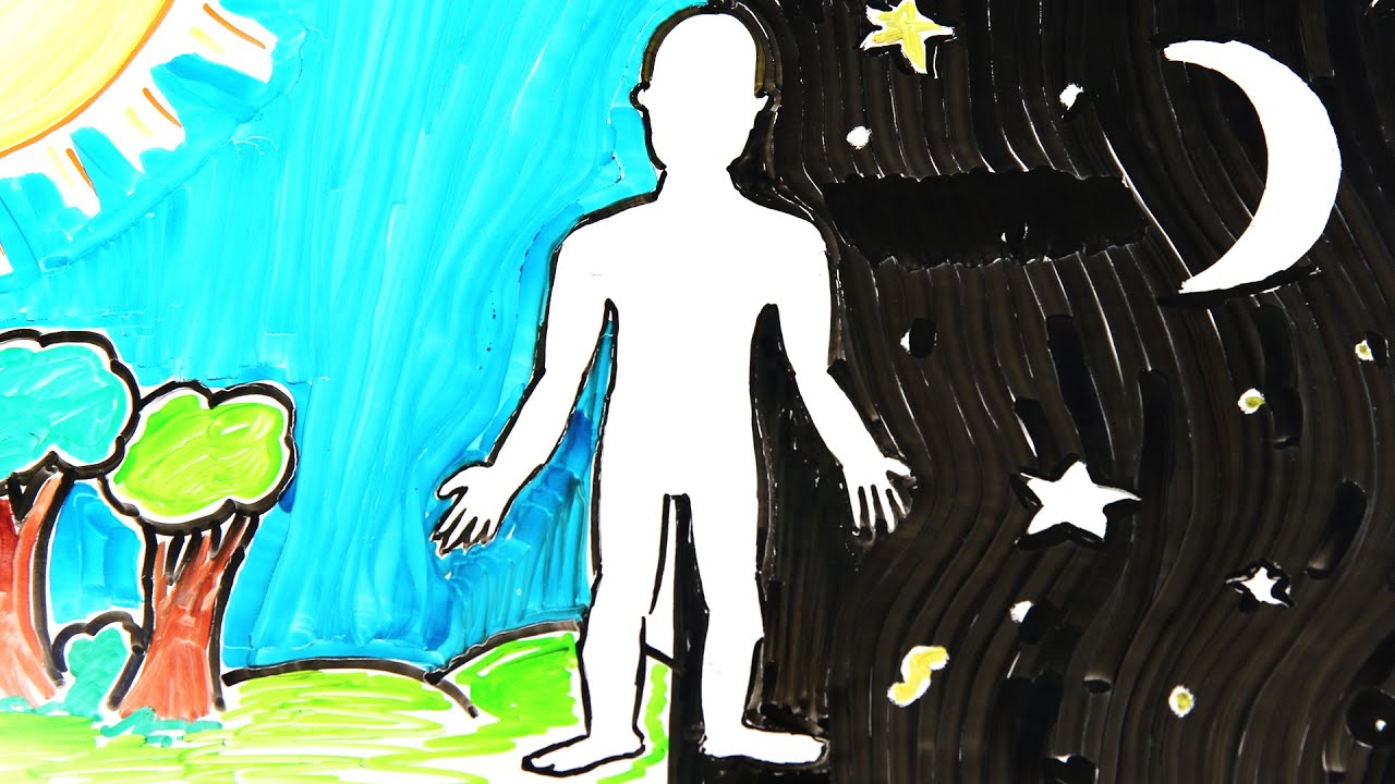 This Is Your Body Over 24 Hours