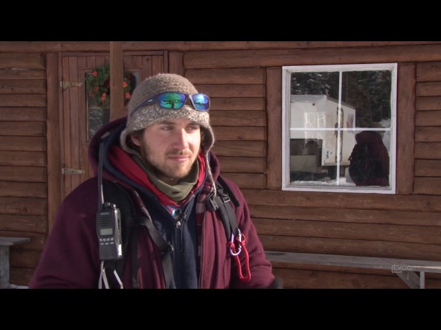 Reportage – Chiens de traîneau au chenil du sportif 2016