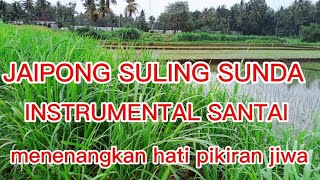 Download lagu JAIPONG SULING SUNDA MUSIK YANG BUAT HATI TENANG MUSIK KHAS SUNDA HATI JADI TERHIBUR mp3 Download lagu JAIPONG SULING SUNDA MUSIK YANG BUAT HATI TENANG MUSIK KHAS SUNDA HATI JADI TERHIBUR mp3