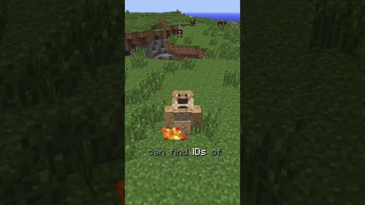 Why Mojang Deleted THIS????