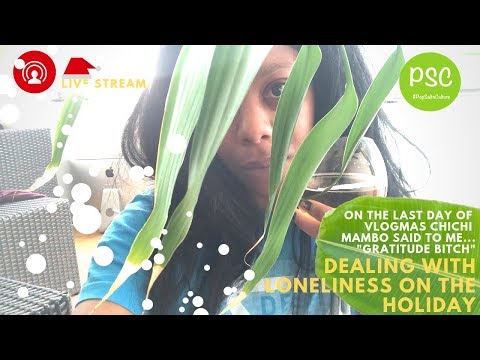 How To Spend The Holidays Alone - Christmas Update - #Vlogmas Ends 2018