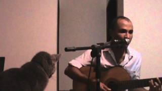 Saudosismo- Caetano Veloso