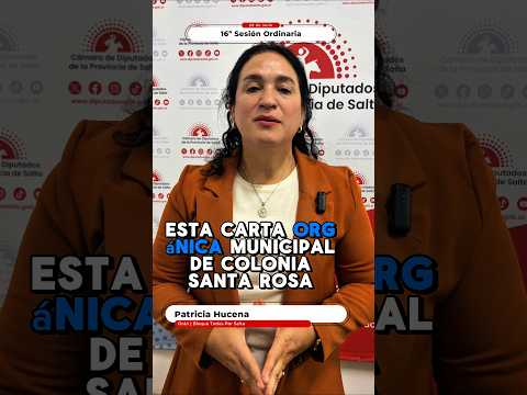🏛️La Cámara de Diputados aprobó la reforma de la Carta Orgánica de Colonia Santa Rosa