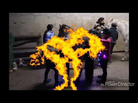 Helloween Special mit Pferd