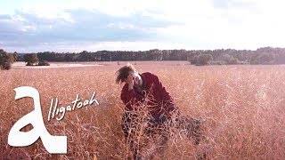 Alli-Alligatoah Music Video